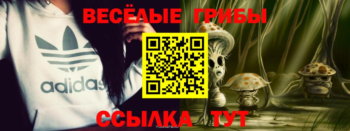 Екатеринбург  Псилоцибиновые грибы GOLDEN TEACHER  Вход с VPN 