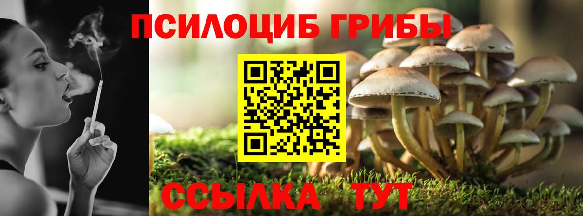 Галлюциногенные грибы MAGIC MUSHROOMS Екатеринбург